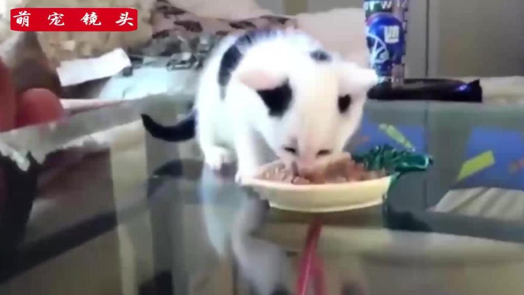 14276910551190195876.jpg?id=0