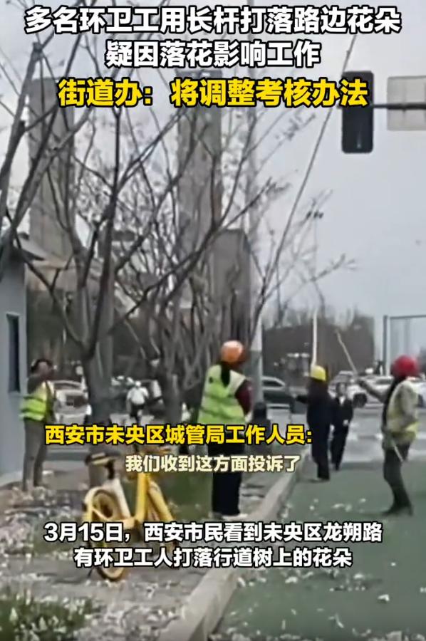 这下事情闹大了！陕西西安，一女子在路上看到不少环卫工人在用长杆打树枝，路上落满了