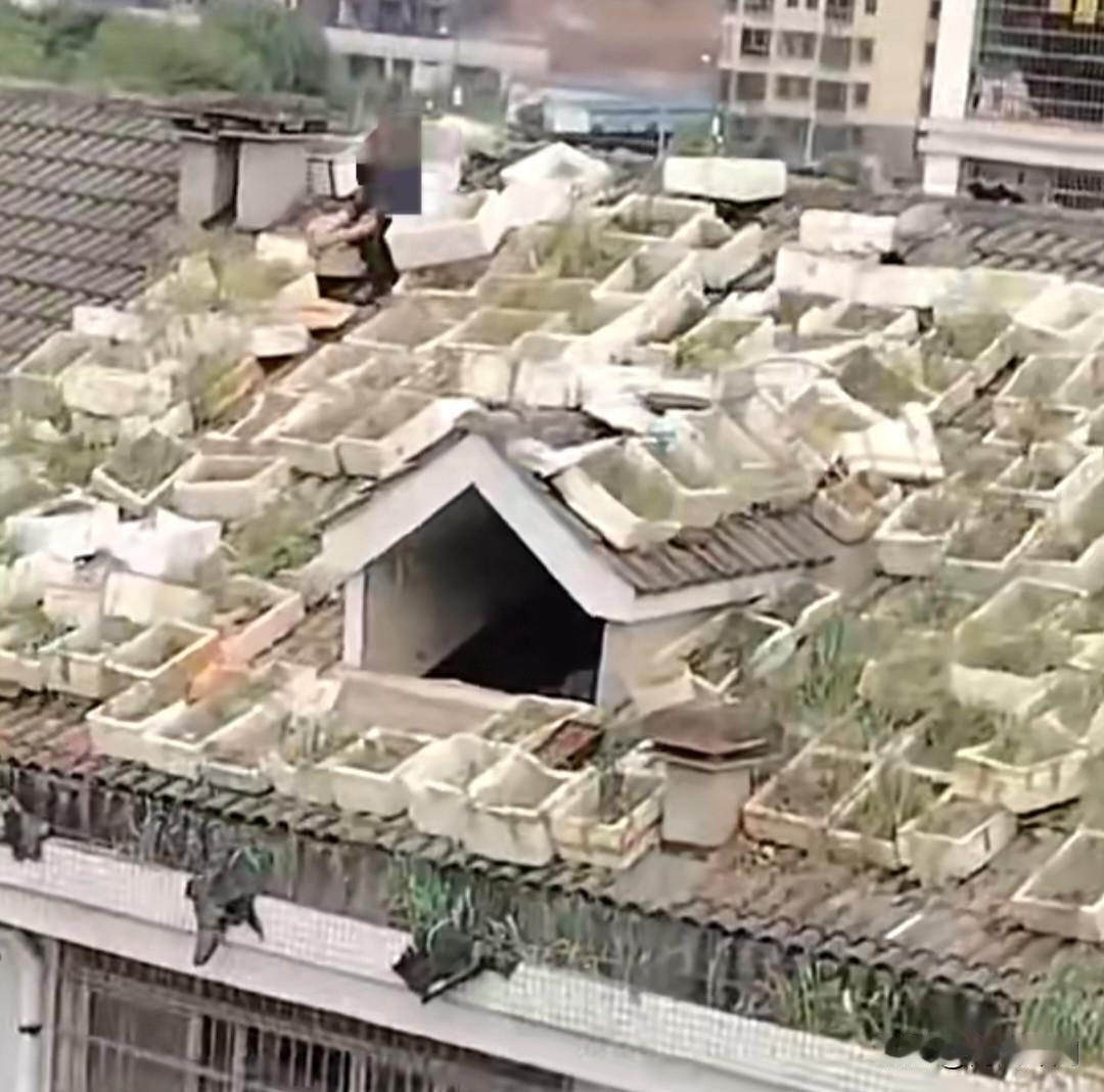 湖南衡阳某小区的一幕，看得人捏一把冷汗！一男子竟在6层楼顶的斜坡瓦片上，密密麻麻