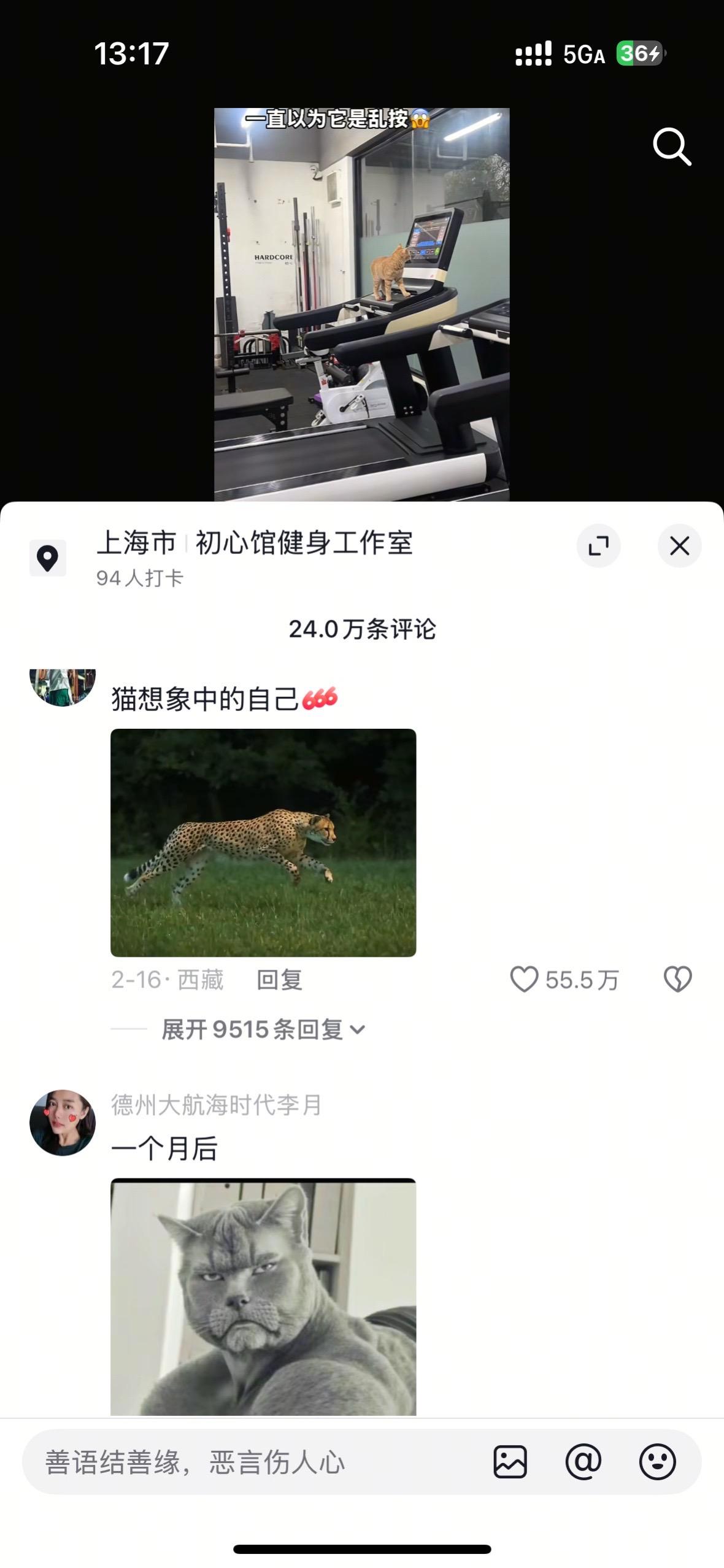 好好好，都卷是吧