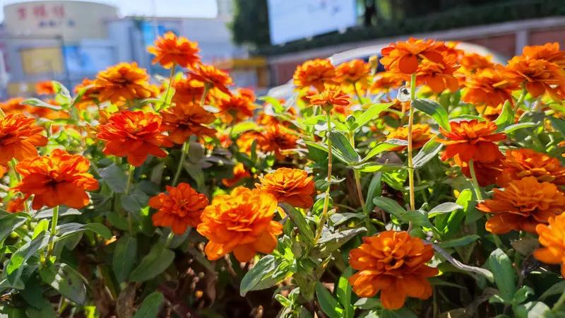 在面对生命无常时,你有何感悟?生命无常，就像余华《活着》里的福贵，一生历经无数