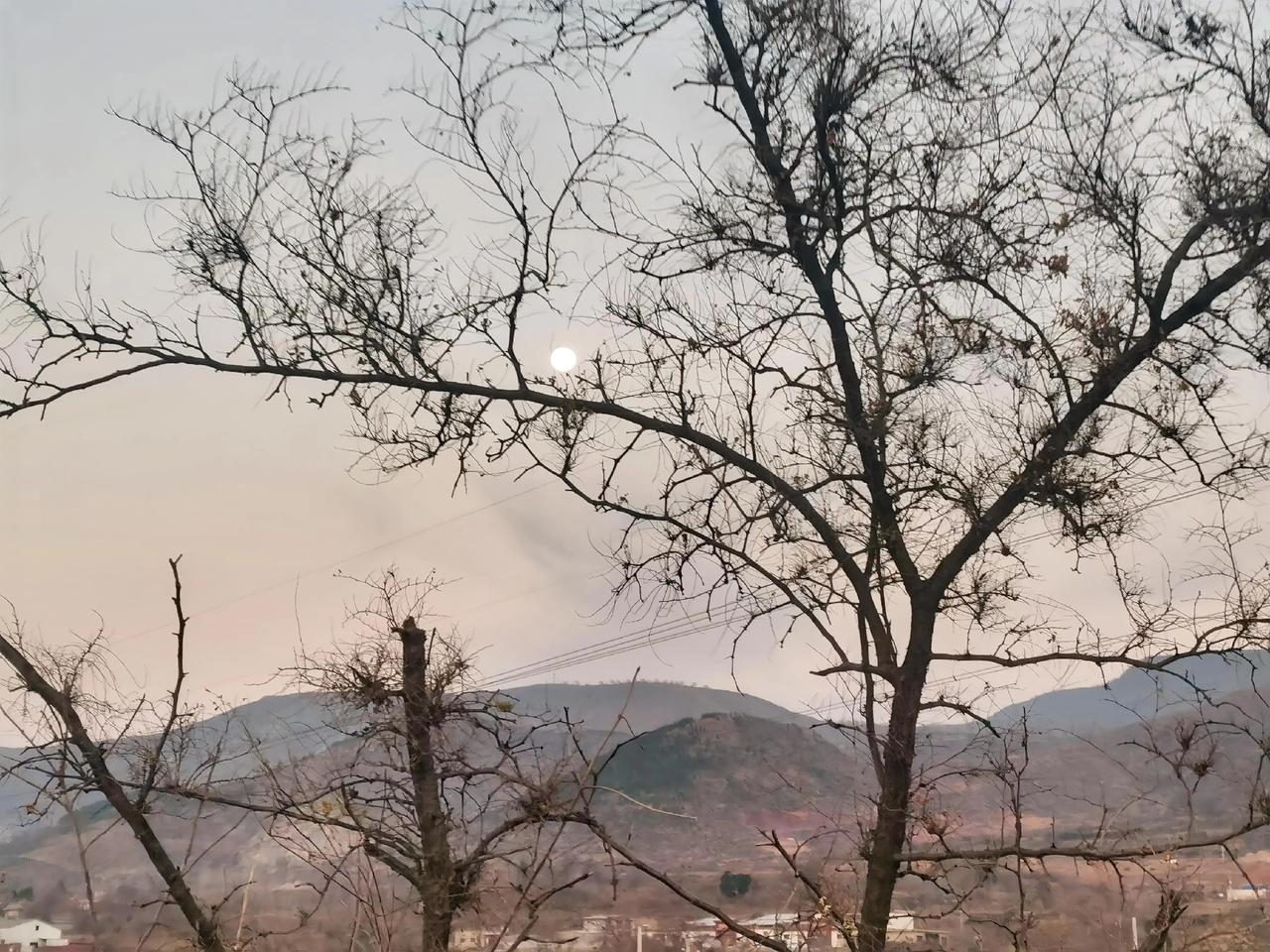 月上梢头远山衔着薄暮，月亮便从枯树的枝桠间探出来了。褪去生机的枝干纵横如网