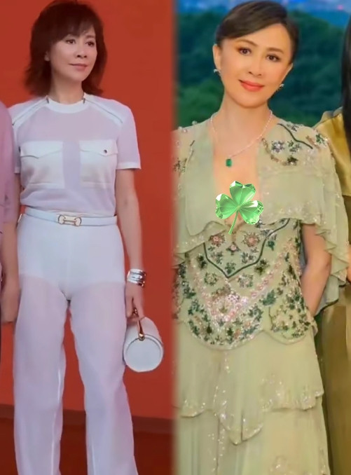 看到刘嘉玲的照片我暗自做了一个决定不是要做丁克，也不是要嫁个小老头，而是