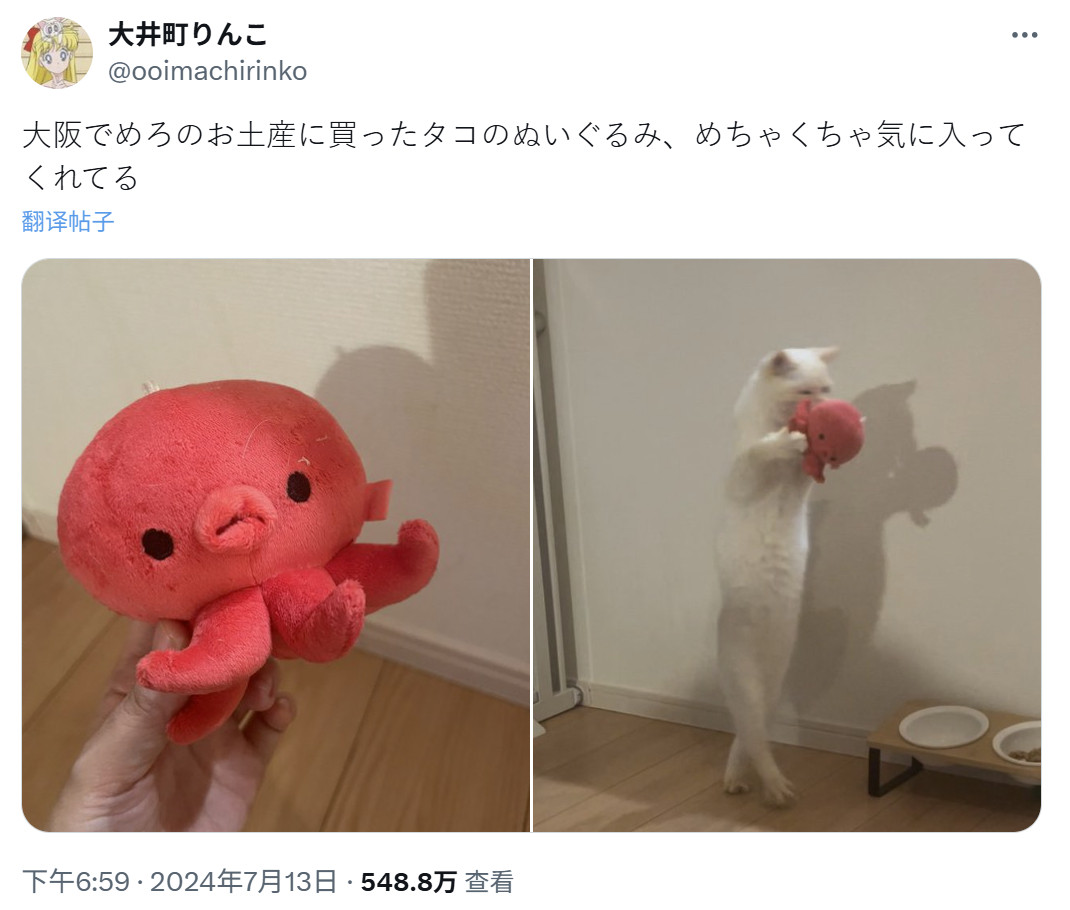 推主从大阪带回来的特产