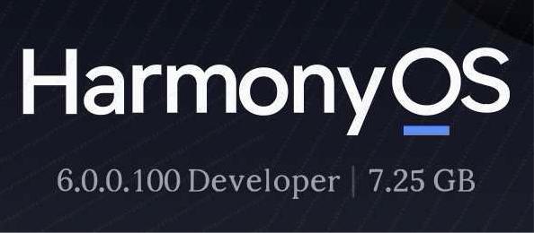 鸿蒙NEXT6.0.0.100分批推送了，好家伙7.25Gb有的甚至高达12