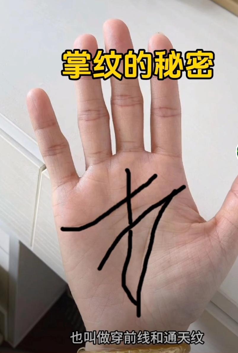 掌纹的秘密——看一看你的掌纹“感情线”、“智慧线”以及“生命线”，测一测你是什么