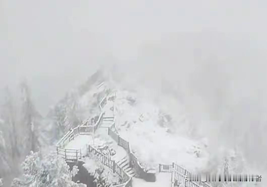 最怕的，是开车回老家的路上，突然遇上冻雨。前一刻还是晴好的归途，转眼间挡风玻