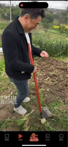 “解释不清了！”四川内江，女儿春节回老家过年的时候，在菜园翻地，竟然翻出了母亲丢