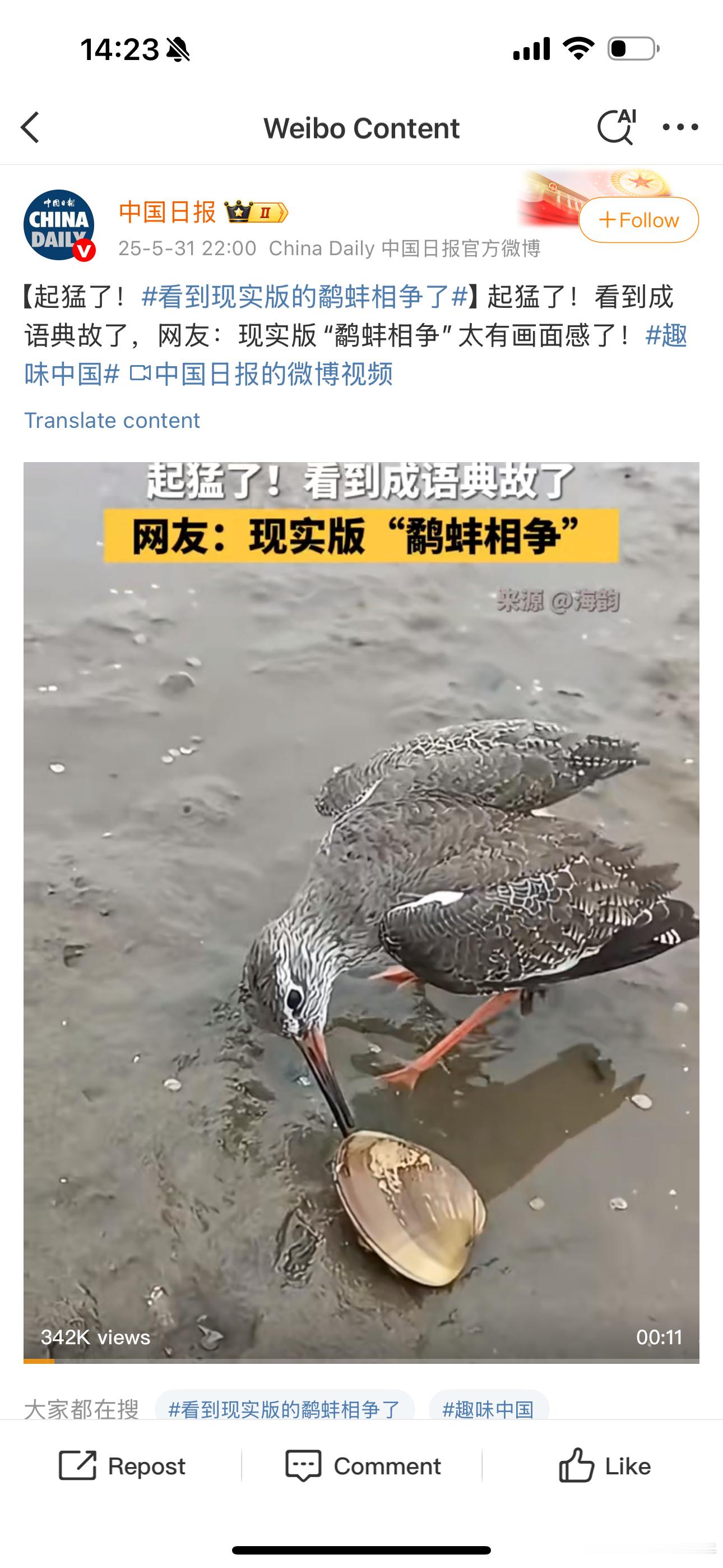 很多团队死于“内斗”​​​