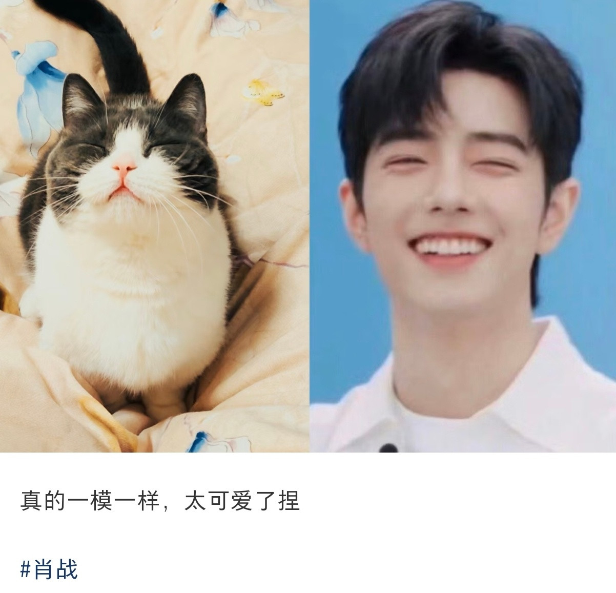 可爱[大笑]​​​