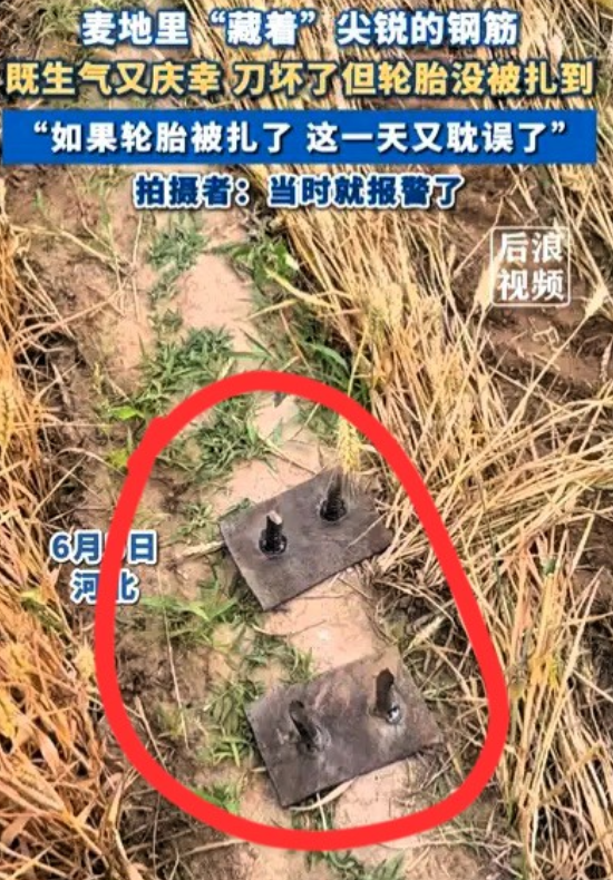 麦田惊现新焊钢筋！收割机受损农户忧女子收割麦子时，发现麦田埋有两根新焊钢筋，担