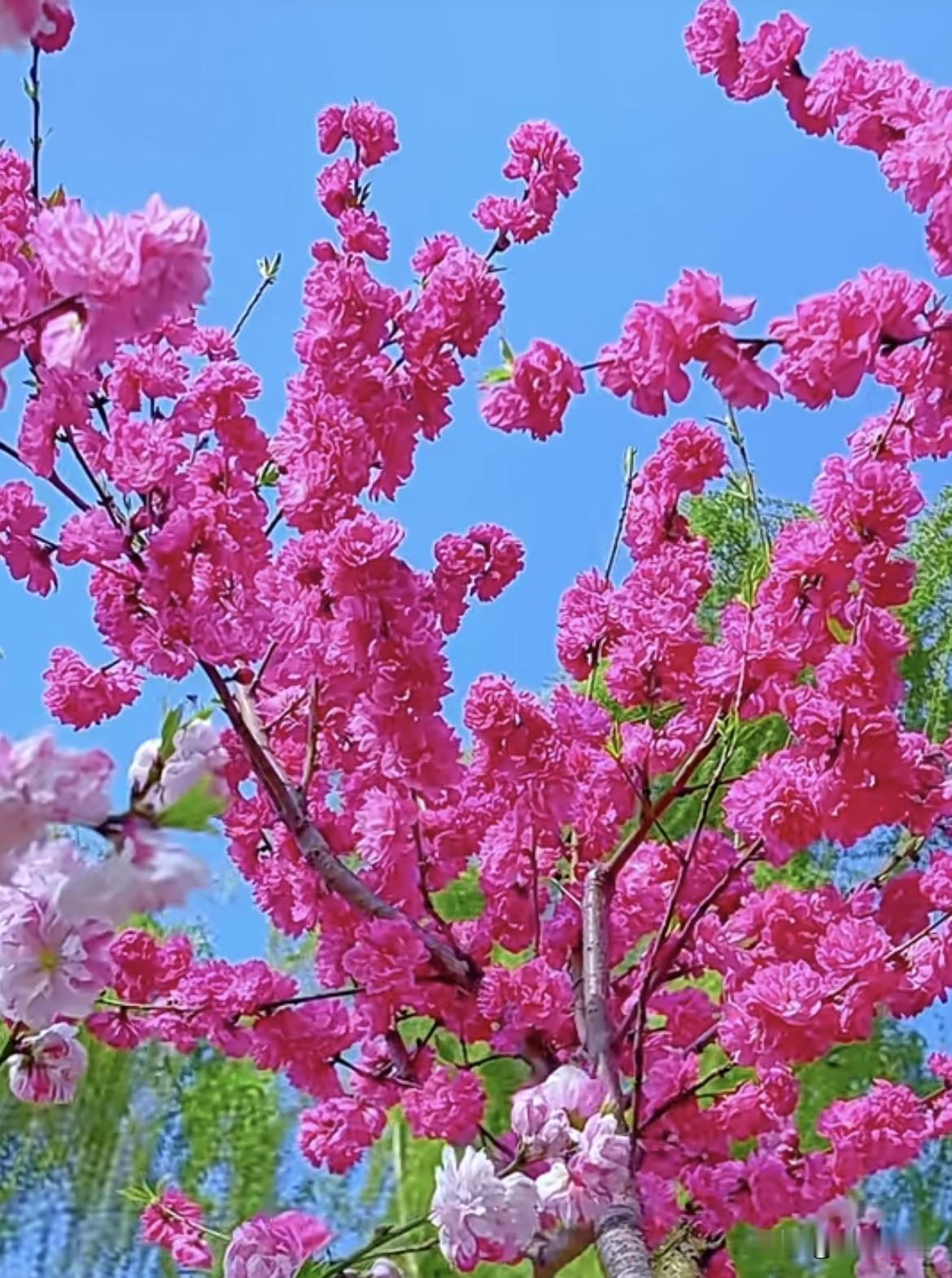 上联：秋水悠悠醉日月下联：春花绰绰欢山丘