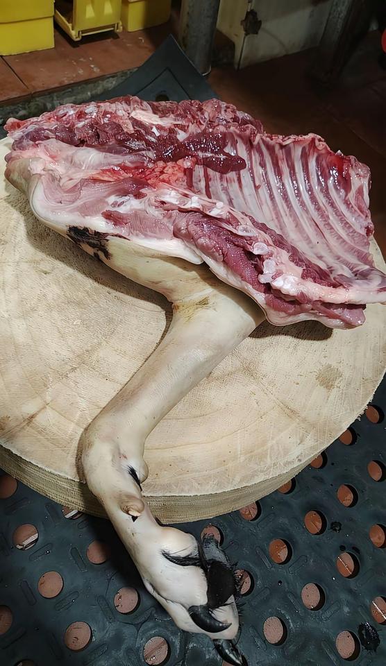 这是啥肉呀，看着挺可怕的，没见过
