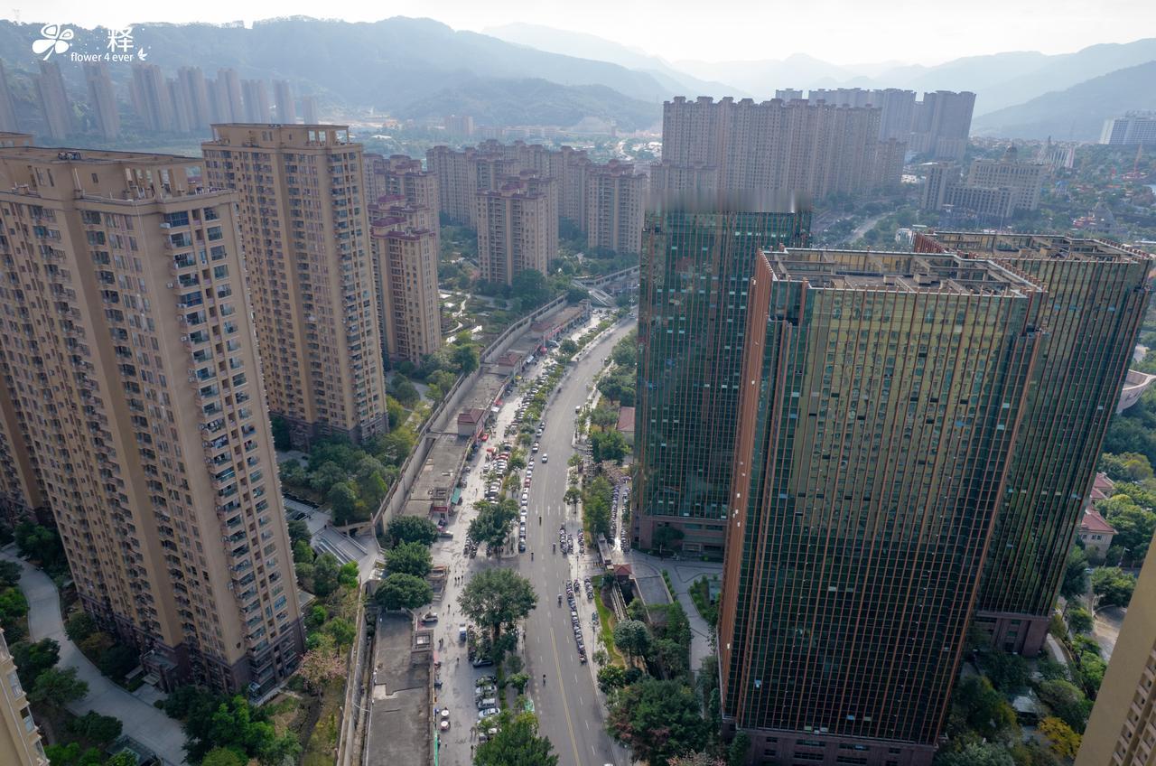国人为什么不敢消费？我也想消费，想换个电车，想换个沙发，各种高端花盆也想整一整