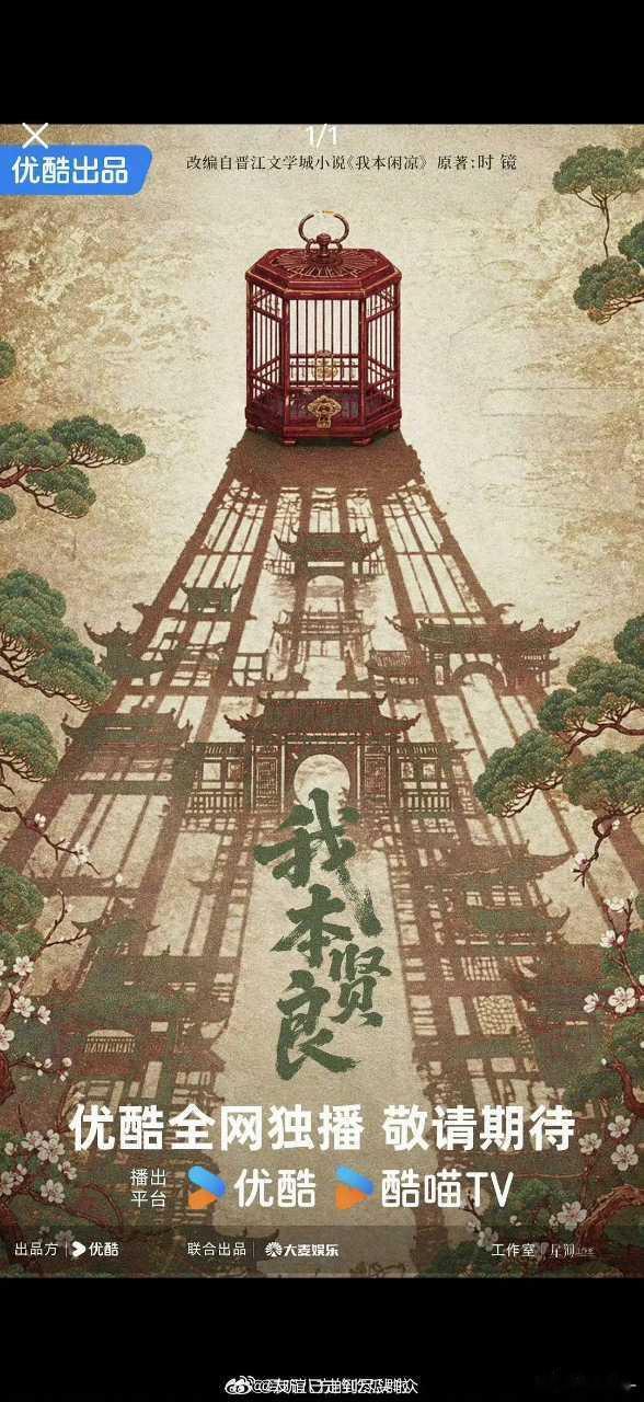 谭松韵《我本贤良》，👖优酷古装权谋剧​​​
