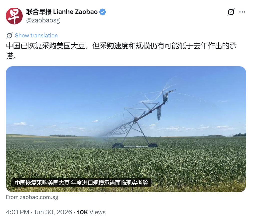 中美约定落实，中国已恢复大豆采购6月30日，新加坡联合早报发文：“中国已恢复采