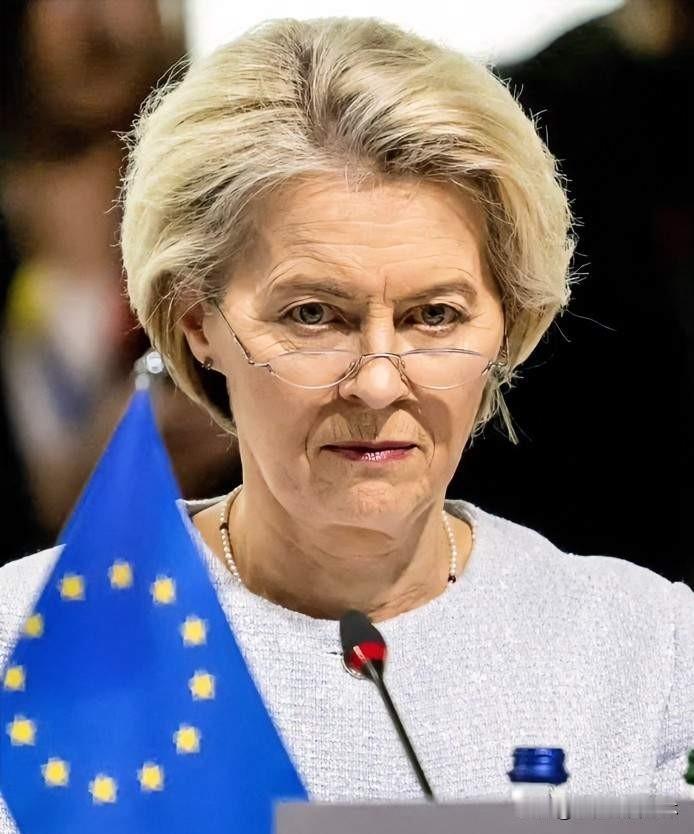 真没想到！欧盟最后还是做出了错误决定！据央视新闻12月13日消息，当地时间1