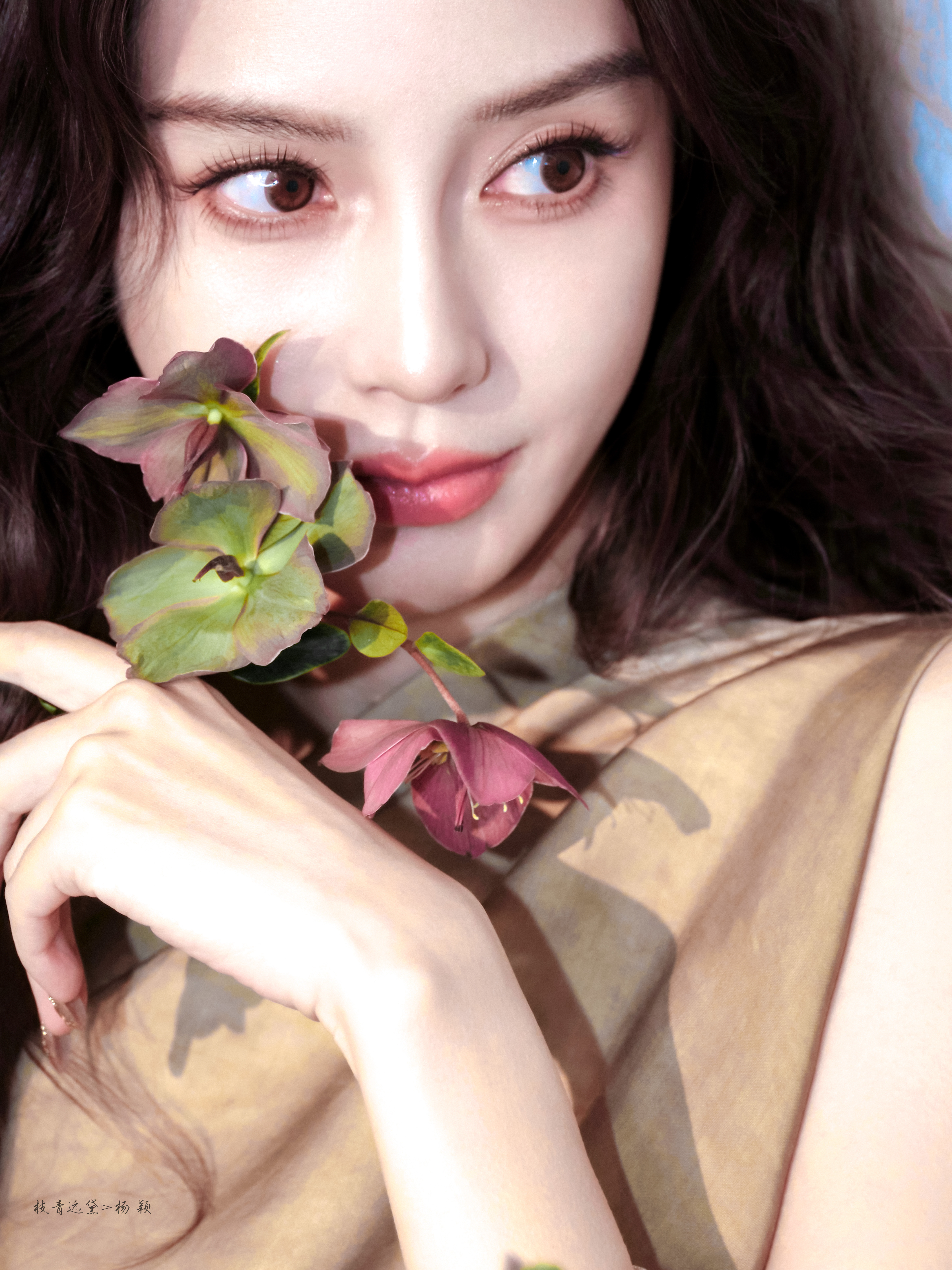 Angelababy/🍃💐💛angelababy上城士路透