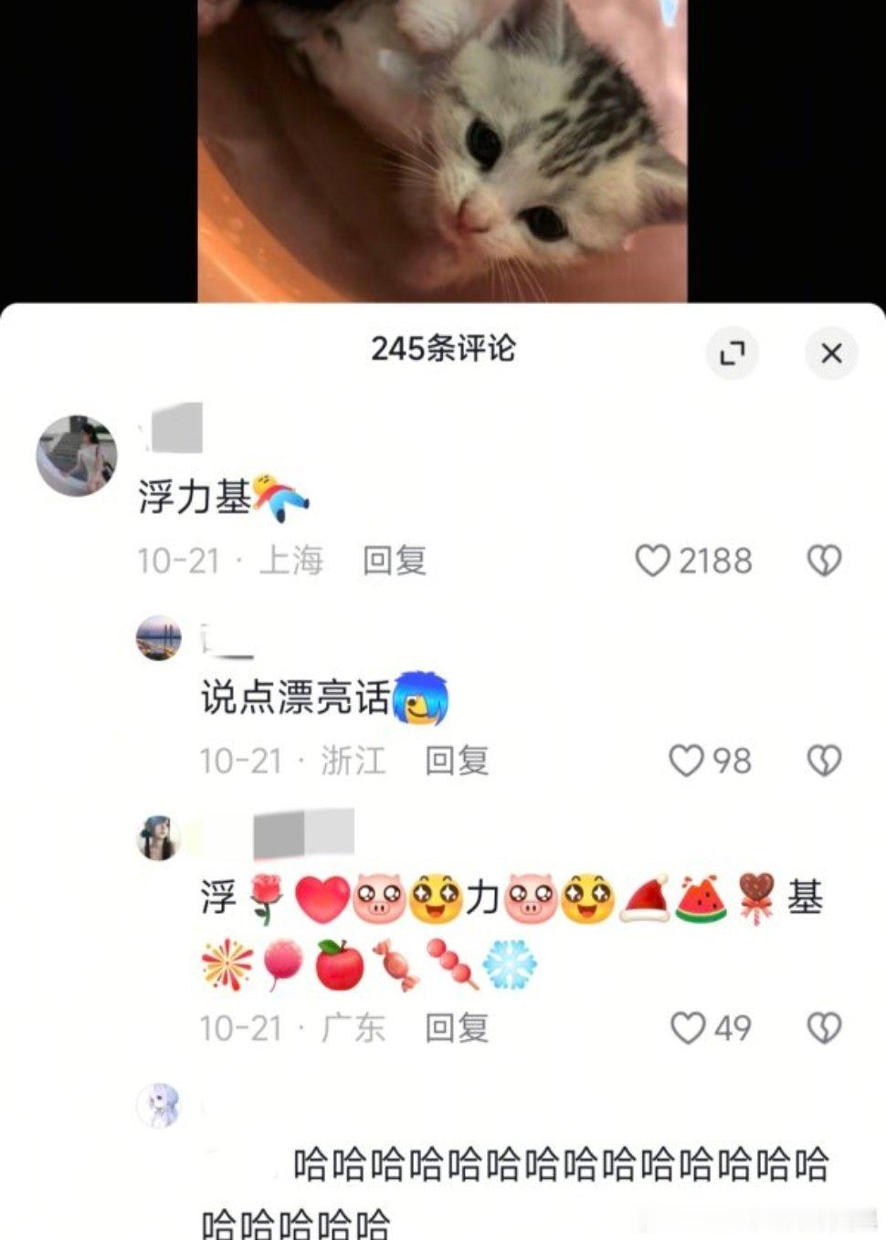 【不知道♂的♀的逗人真的都④了】一个普普通通小猫乖乖洗澡的视频热评第一居然是“浮