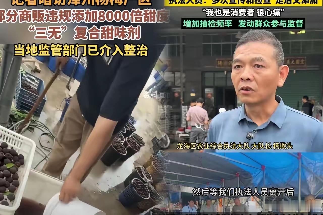 漳州杨梅烂在地里，全网抵制，那画面看得人心里发毛。原本好好的产地，硬是被中间商那