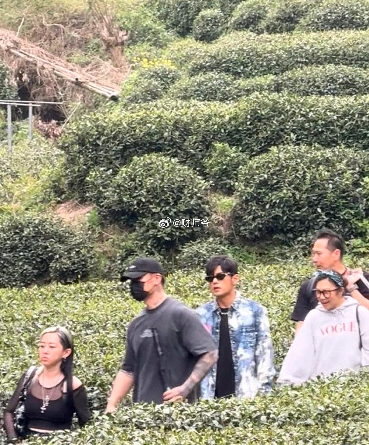 有游客拍到：今天周杰伦在杭州梅家坞“考察”龙井。