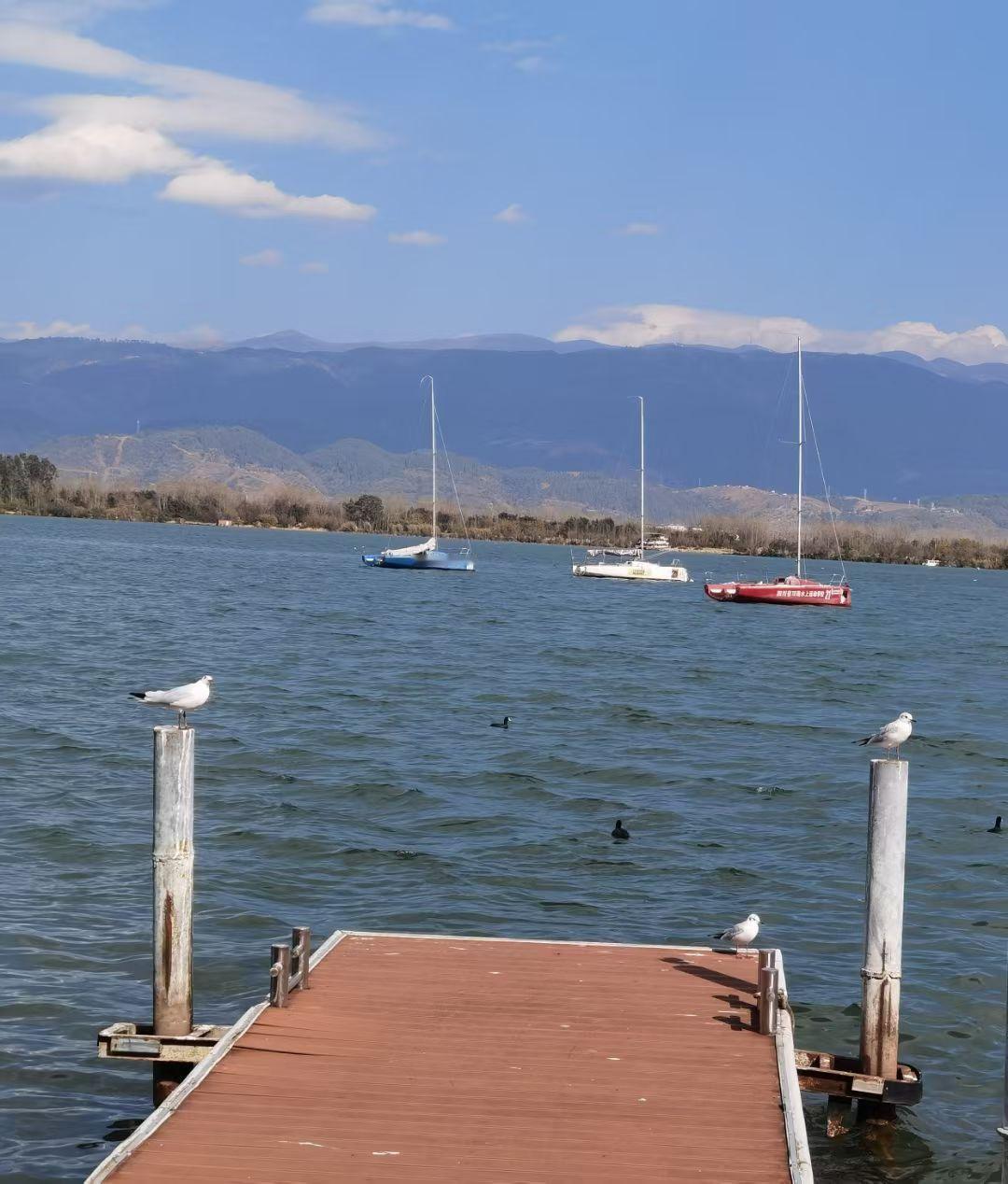 生命诚可贵，健康才是福2026年春节前，我认识的两个熟人，因病半月前都相继离