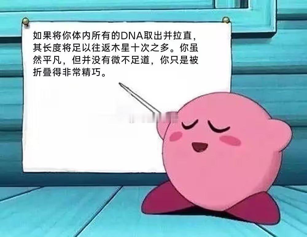 你只是被折叠得非常精巧
