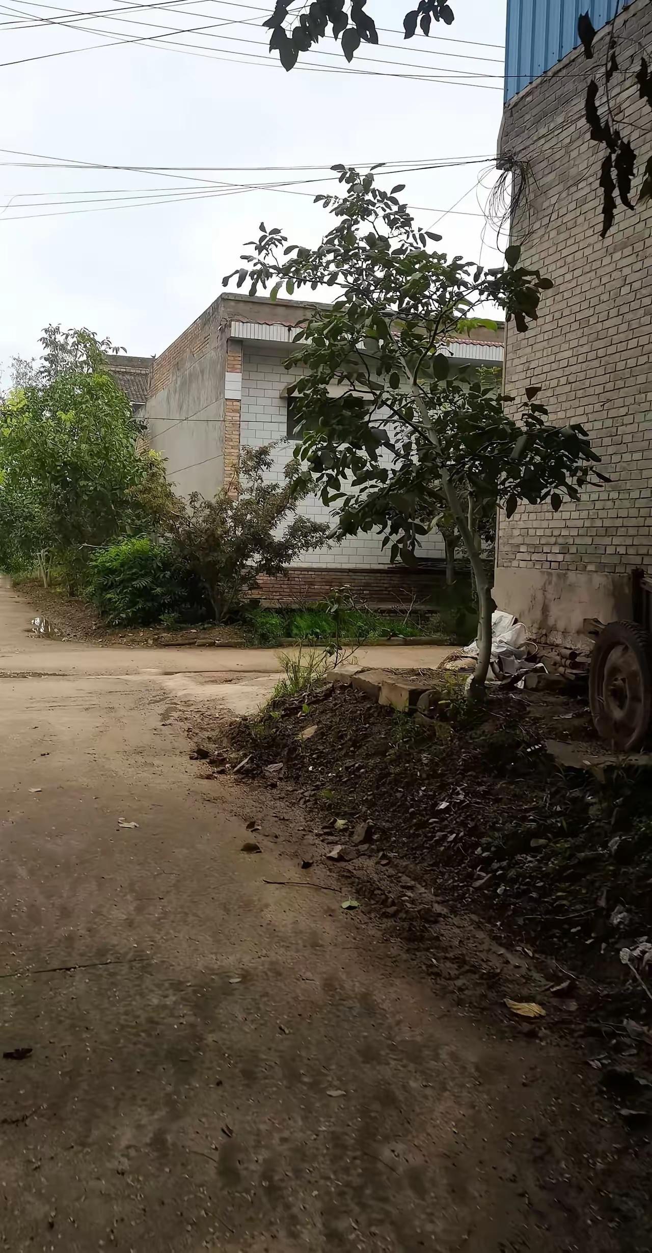 身家千万的大姑姐十年未曾登门，丈夫离世之后她突然要来我家我大姑姐身家千万，