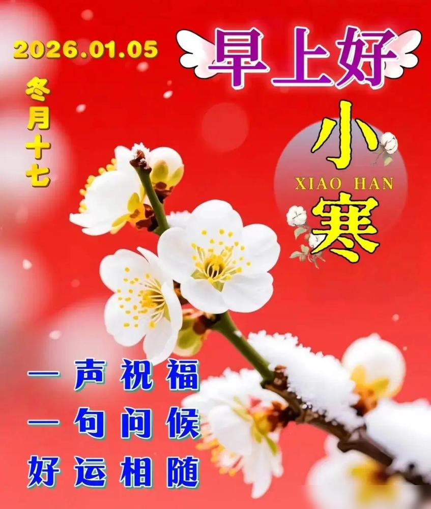 🌲2026.01.05🧣小寒节气·早安问候❄️小寒晨晓朔风凉，添衣保暖莫