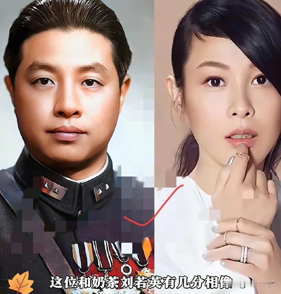 这下出名了，估计全国人民都知道了，《沉默的荣耀》里面的刘咏尧竟然是刘若英的爷