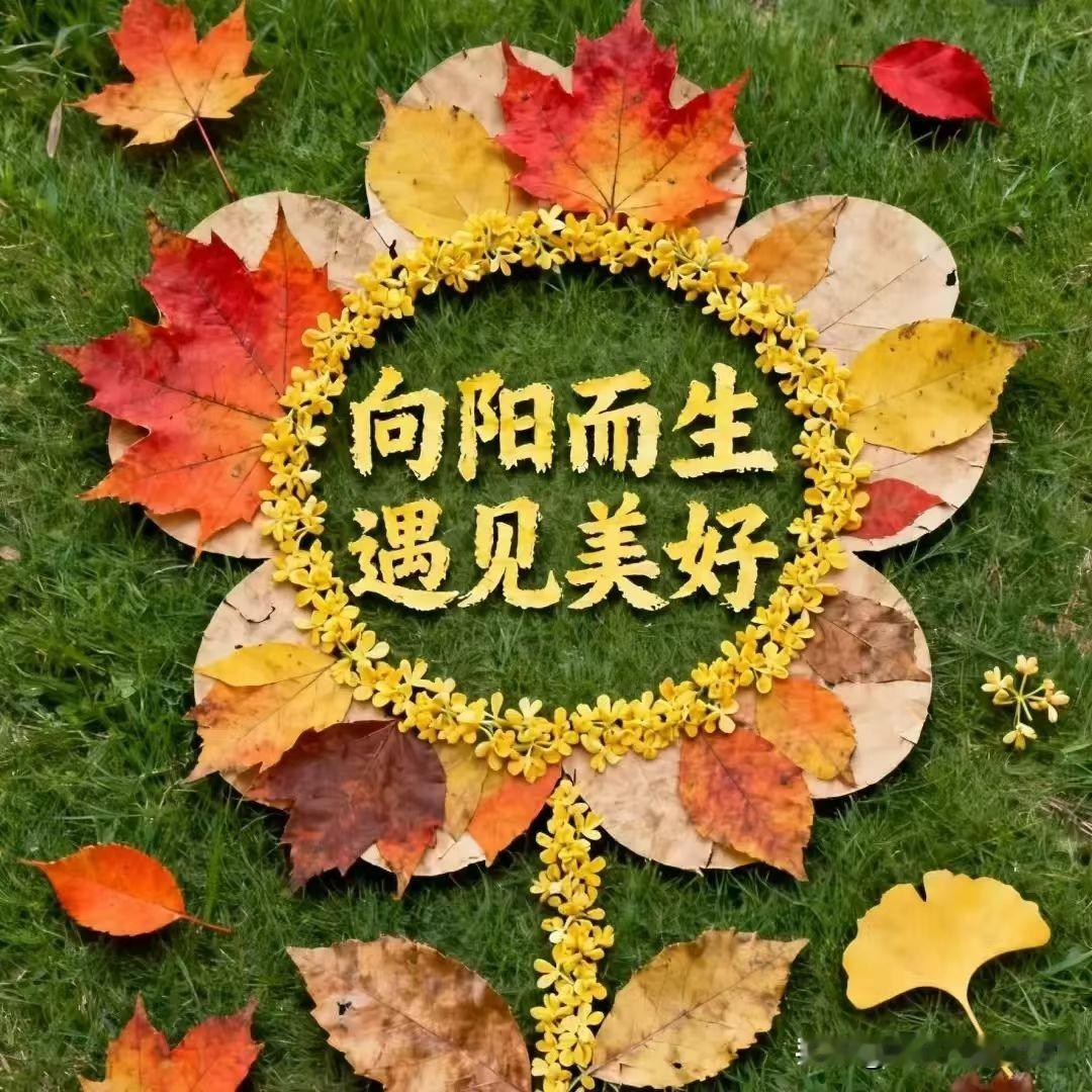 人这一辈子，不要羡慕别人的辉煌，人人都有苦衷，何须羡慕他人。别为自己的平