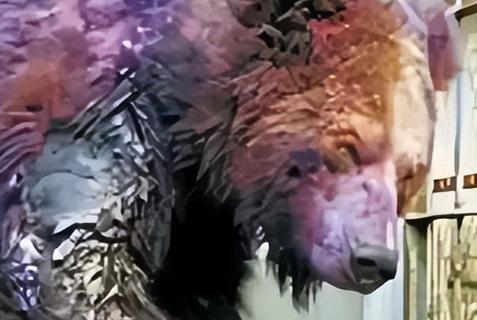 20多年前，22岁清华学生刘海洋，在北京动物园先后用浓硫酸泼伤五只熊，不仅没被制