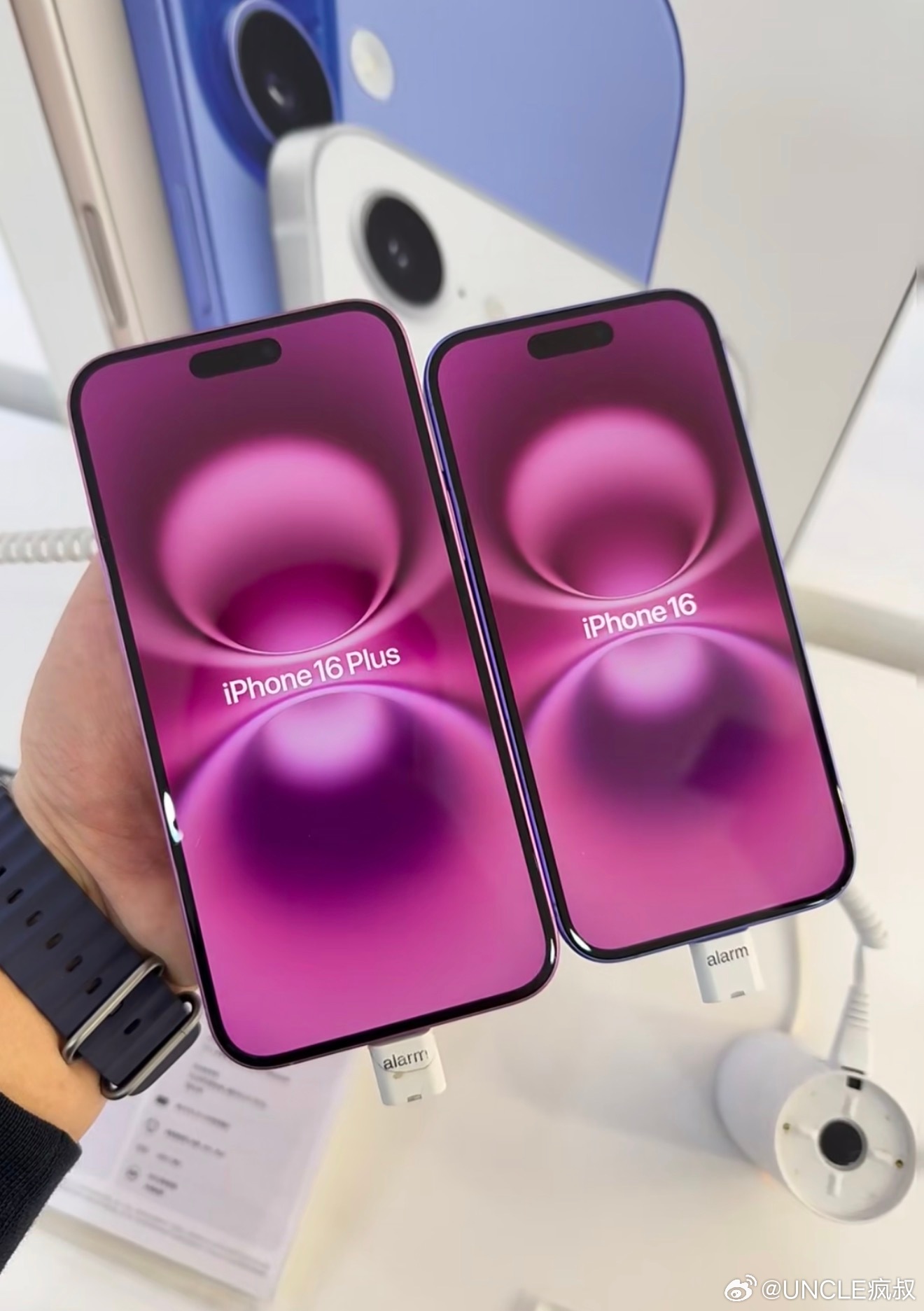 现在想想你知道苹果为什么要取消Plus了，从目前iPhone17全系列的预售情