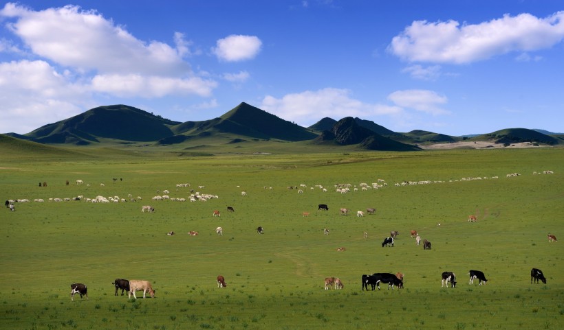 内蒙古锡林郭勒盟发生4.6级地震，震源深度20千米，承德，唐山，赤峰等多地网友都反馈感受到震感。中国