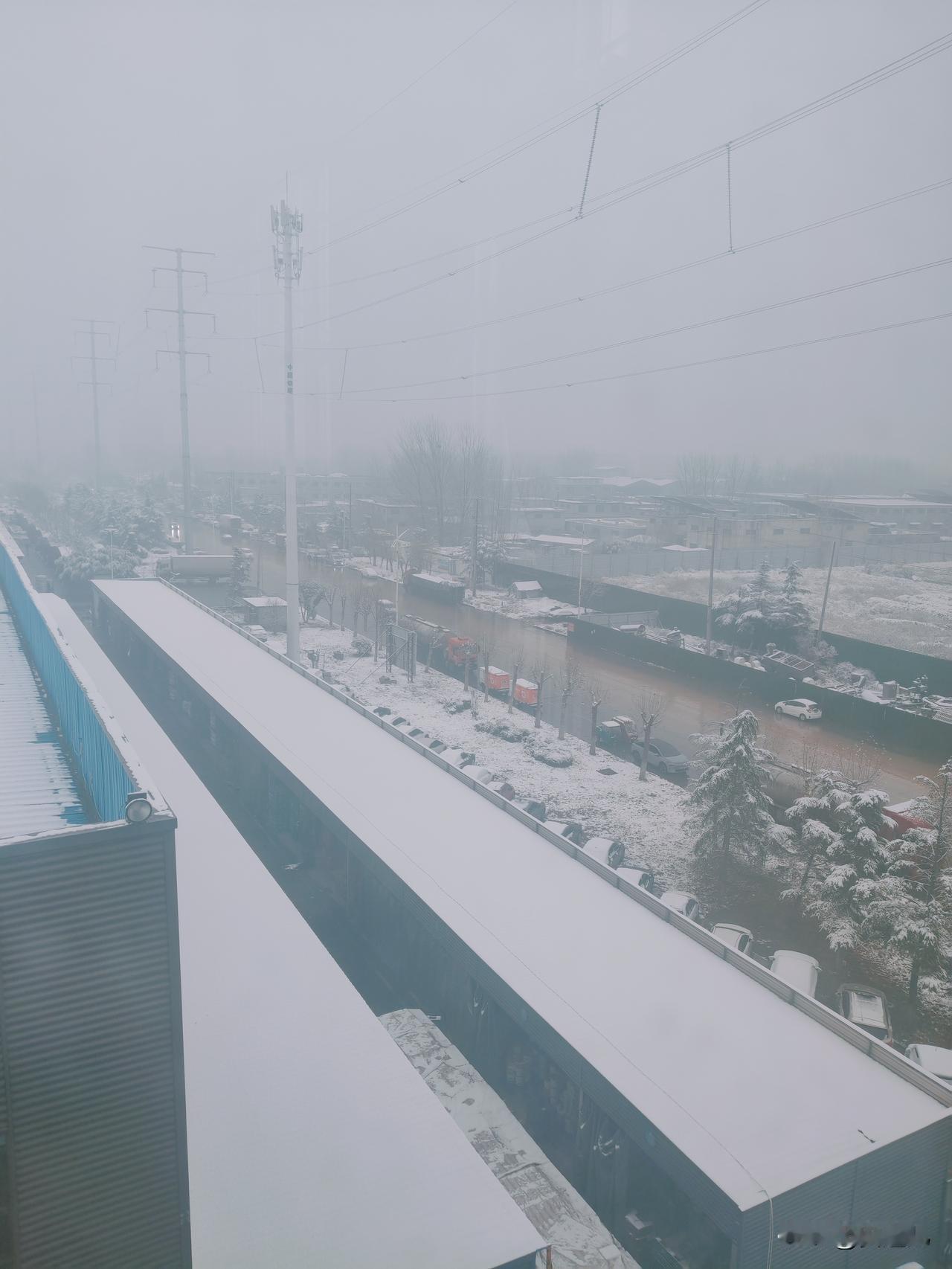 晒图笔记大赛第一场雪总是美得让人忍不住晒图。就像12月12日景山公园的那场雪，