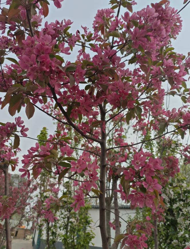 人随时都会死，且行且珍惜吧邻居两口子刚从外地回来。男的62岁，刚退休两年多，