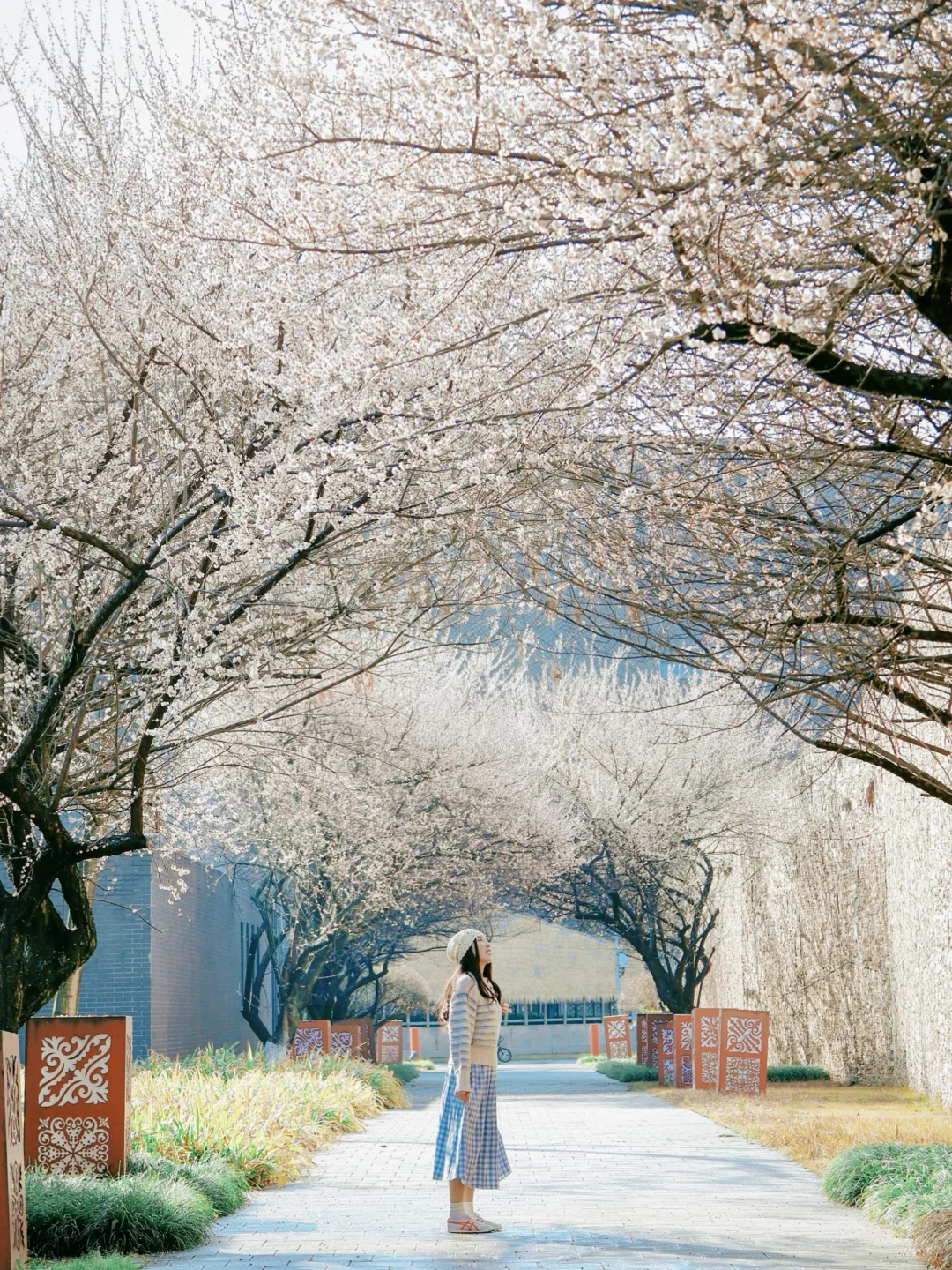 成都地铁直达🚇青梅花隧道开爆了！人少免费