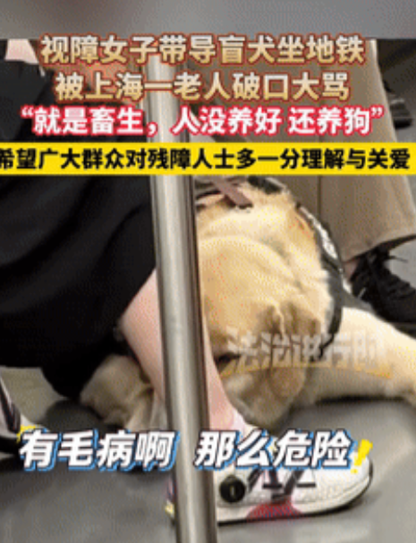 犯众怒了！上海，视障女子带导盲犬坐地铁，不料，一位老人看到后，便对她破口大骂，说