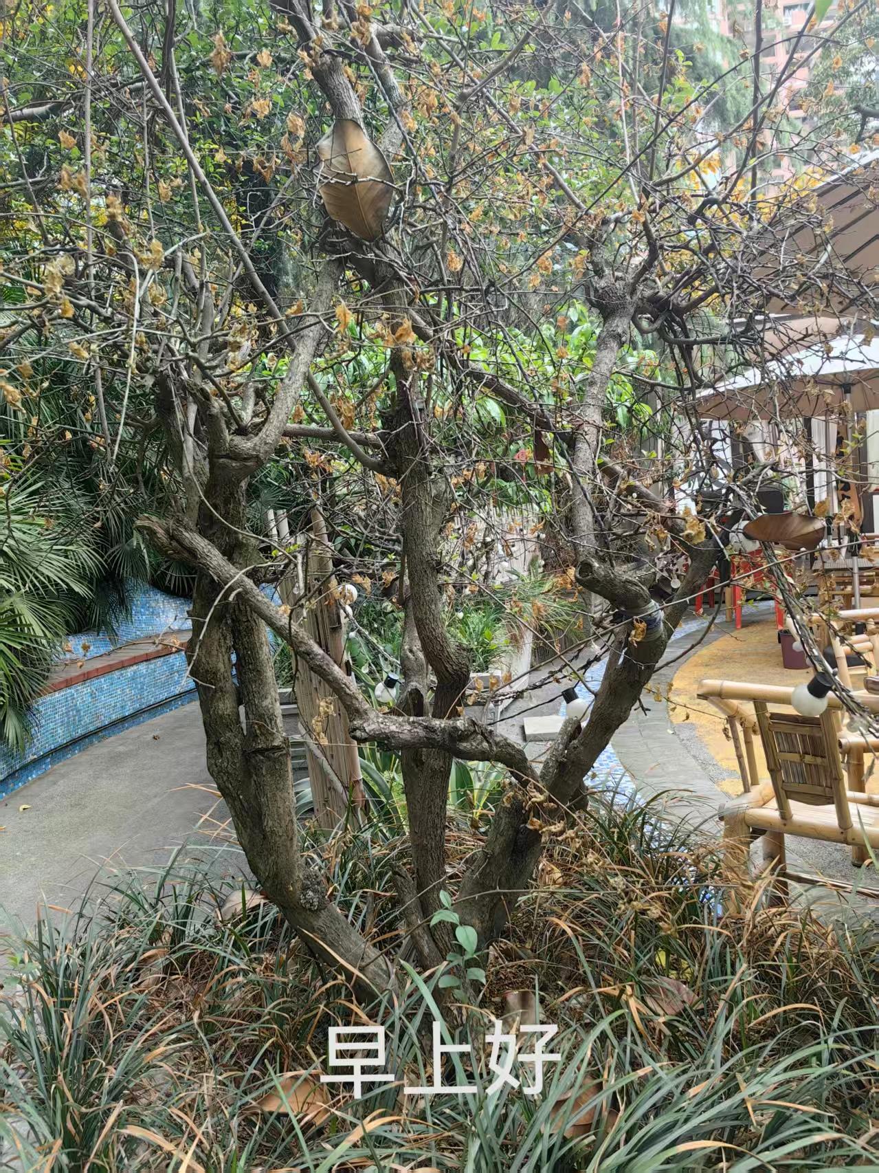 最近全国肿瘤防治宣传周，很多人问我：“常医生，怎么才能早点发现癌症？”作为临床