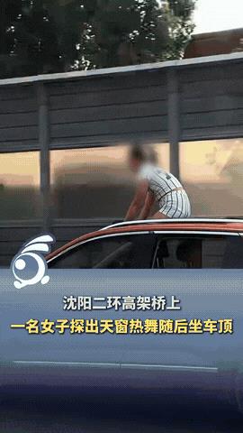 “不要命了？”沈阳，在二环高架桥上，车辆正在高速行驶，一名女子竟然把半个身子探出