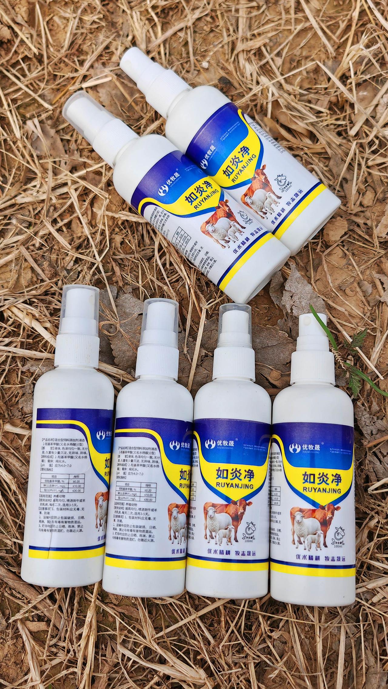 养羊人农村养羊牛羊养殖