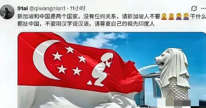 一张恶搞新加坡国旗再次引爆“印家坡”争论，新加坡火速全网封禁，反手扣帽子说来