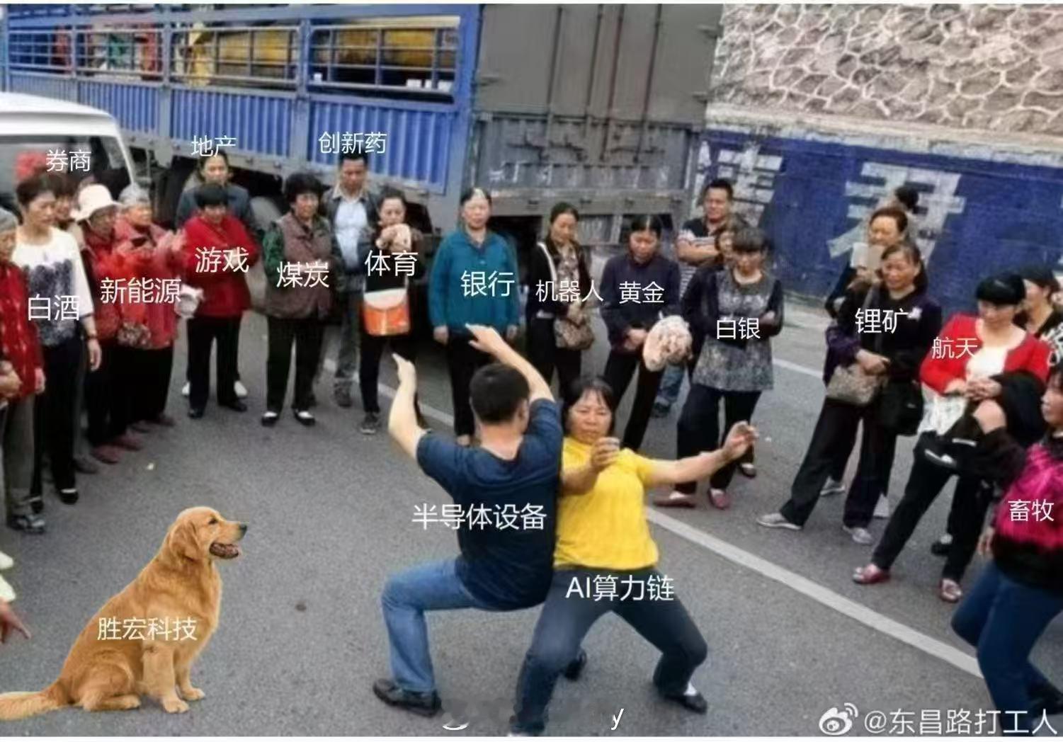被狗狗笑到了