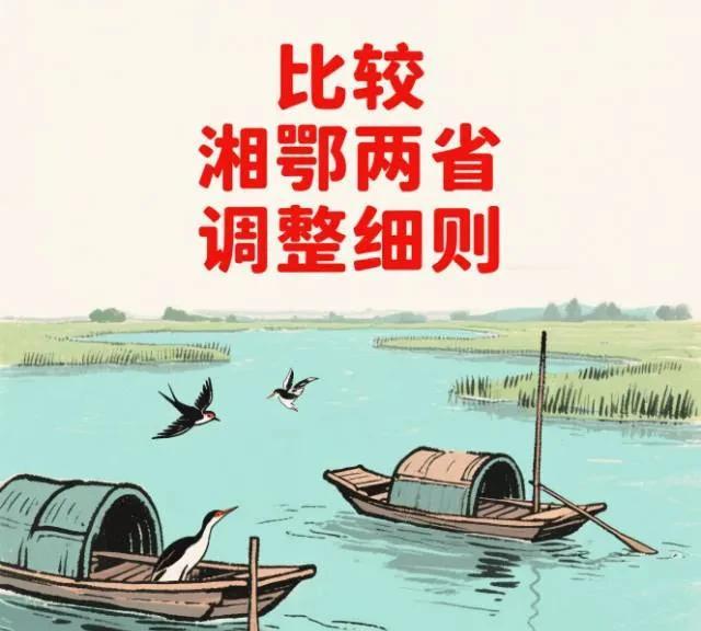 对比湘鄂两湖的养老金调整细则，解读其中的亮点，用实例进行比较两省调整细则，看洞庭