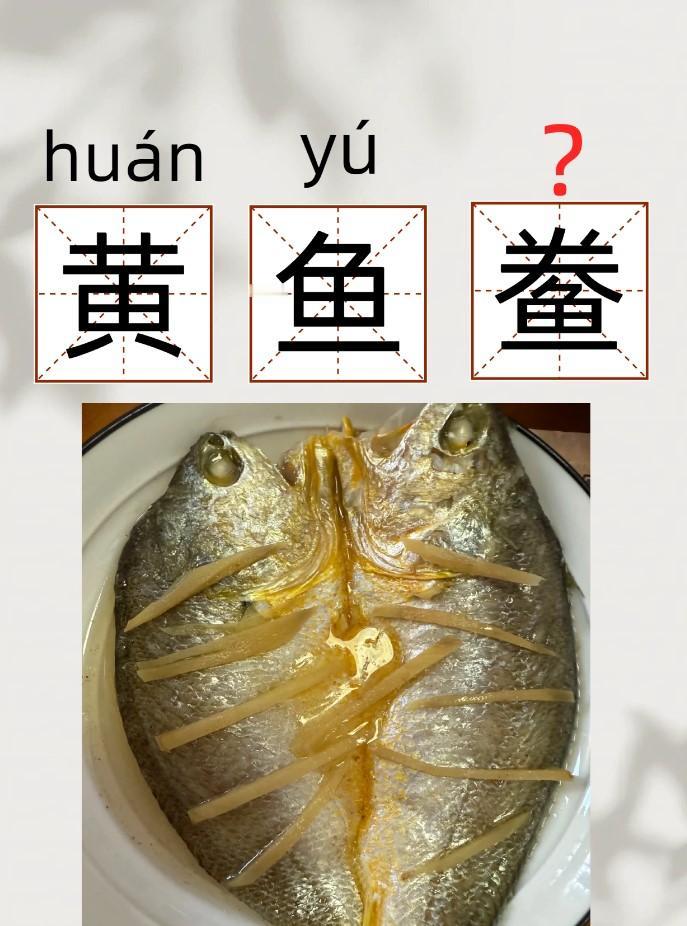 很多人去江浙、宁波沿海吃饭，看到黄鱼鲞都不敢开口念，这个字看着复杂，其实读音很简