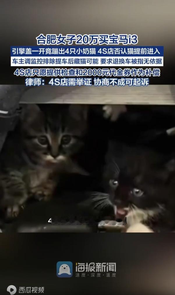 合肥，一名女子花30万买了宝马i3，没想到新车提回家之后，车里传来猫叫声，打开引