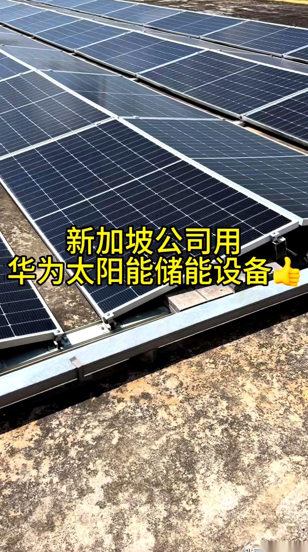 我一个在新加坡的朋友，今天给我发了张图，差点没把我给看傻了。他们公司花大价钱，