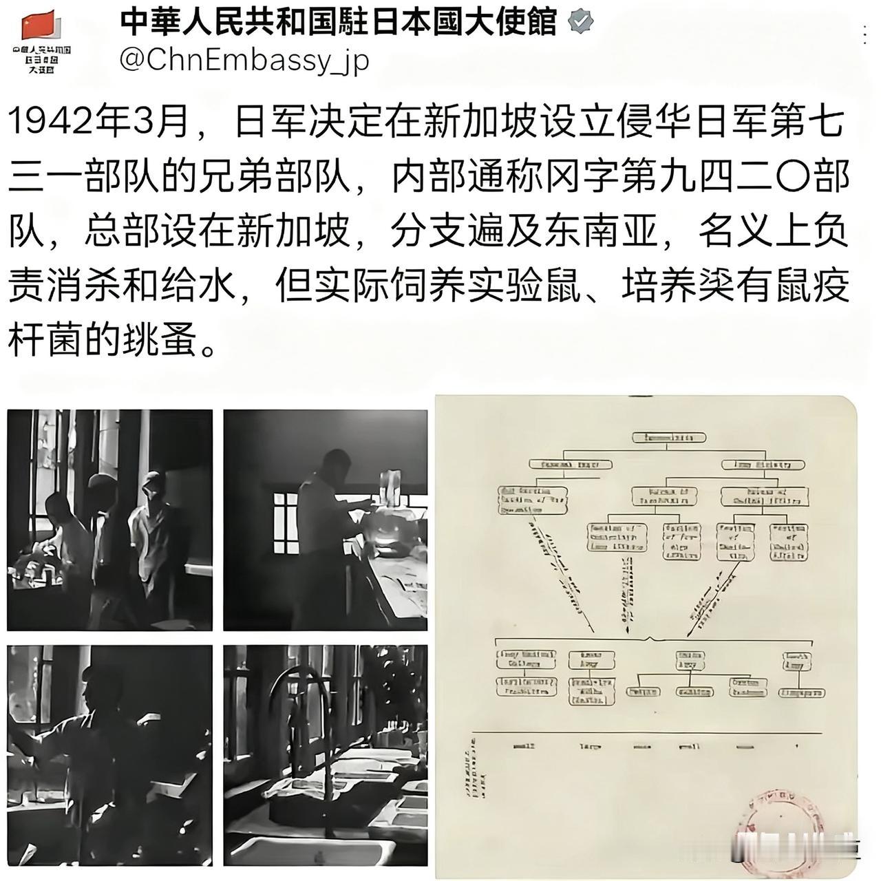 想当“和事佬”，劝我们“放下历史”，直接遭打脸！我驻日大使馆干脆公开了一份194