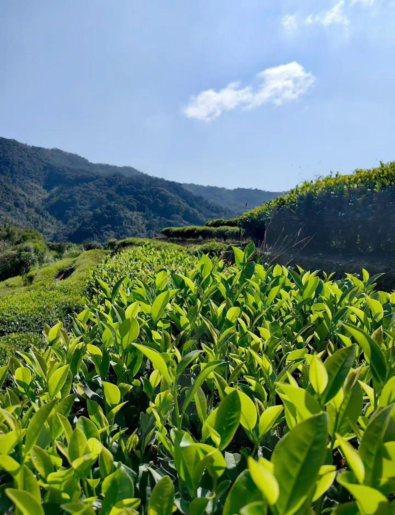 自由是灵魂的氧气•͈ᴗ⁃͈★在山川角落，短暂逃离～山里的风景山川美景