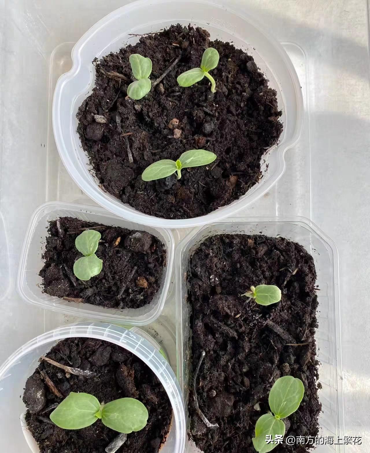 我姨婆50多岁了，昨天让我儿子给她存了一笔钱，儿子发现她的存款超过10万元了。